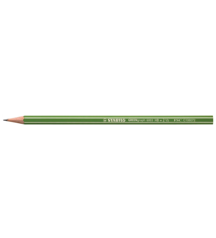 Crayon Graphite GREENGraph tête coupée HB