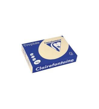 Ramette 500 Feuilles Papier 80g A3 420x297 mm CHAMOIS