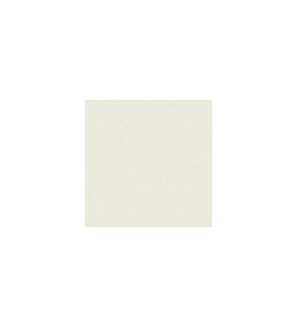 Ramette 500 Feuilles Papier 80g A4 210x297 mm GRIS PERLE