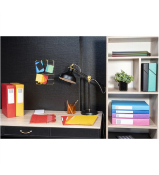 Boite de classement Exabox Dos 60mm Carte lustrée - A4 - Coloris Aléatoire