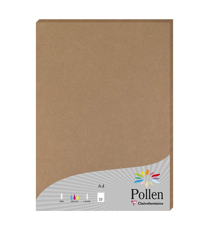 Etui de 25 feuilles Pollen 210x297, kraft 210g