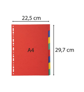Intercalaires carte marbrée 220g/m2 8 onglets neutres - A4 - couleurs assorties