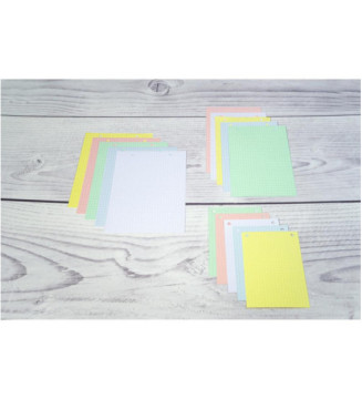 Étui de 100 fiches - bristol blanc quadrillé 5x5 perforé 125x200mm - Blanc