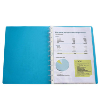 Lot de 10 pochettes amovibles polypro pour protège documents Vario Zip