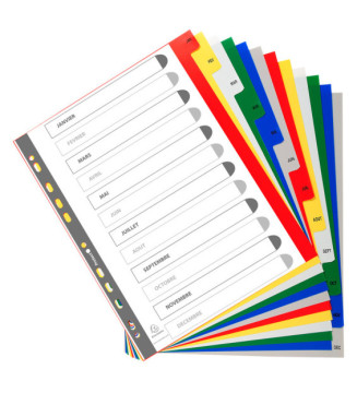 Jeu d'intercalaires mensuel polypro 12 touches multicolores Format A4+