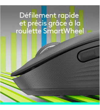 Signature M650 Souris sans fil - Pour Mains de Petites & Moyennes Tailles