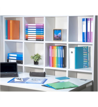 Protège-documents en polypropylène souple OPAK 20 vues - A4 - Bleu clair