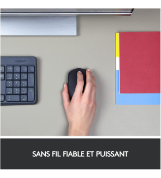 Souris Sans fil Logicool M171 Noir Gris